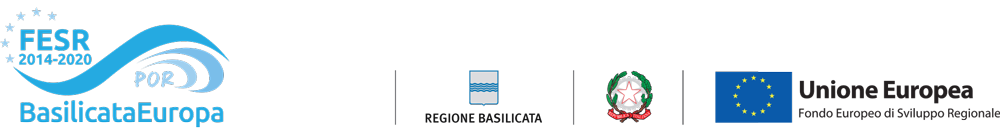 DGR Basilicata 196/2019